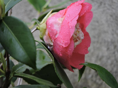 DSCN3498.JPG