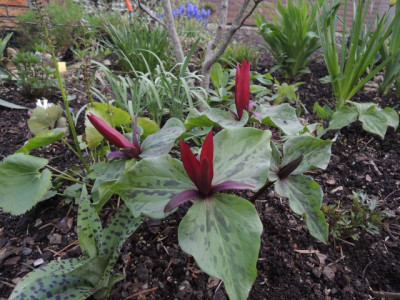 DSCN0029_1374.JPG