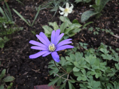 DSCN0028_1373.JPG