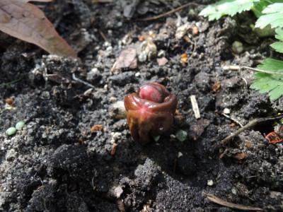 DSCN0036_1377.JPG