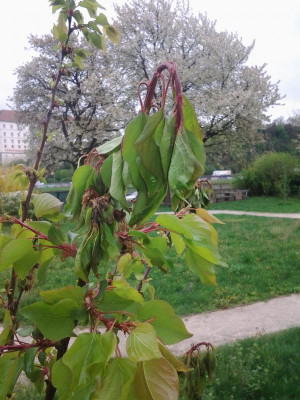 2016-04-18 13.16.40.jpg