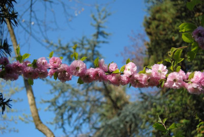 april 004.jpg