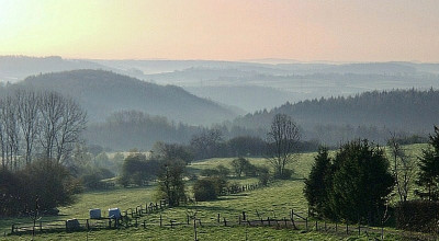 18.4. alba.jpg
