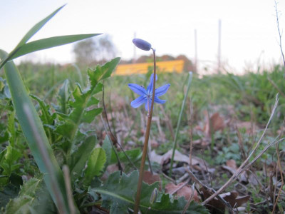 gelbe Bank 21.4.16 ue.JPG