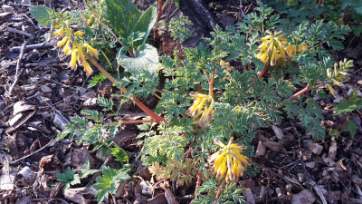 20160414_184614.jpg