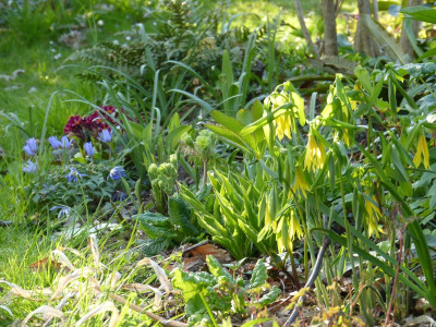 2016-04-21 Gartenimpressionen 3.jpg