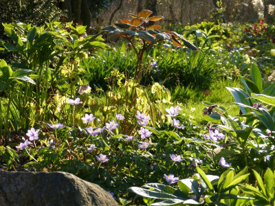 2016-04-21 Gartenimpressionen 5.jpg
