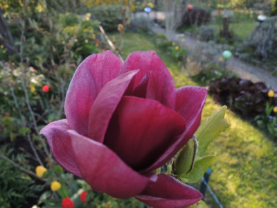 DSCN0080_1392.JPG