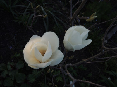 DSCN0079_1393.JPG