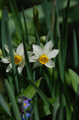 DSC_5007.JPG