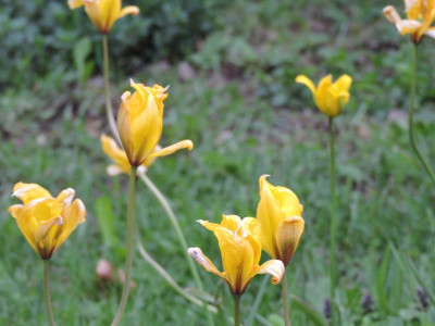 DSCN3572.JPG