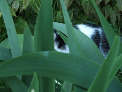 DSCF9247.JPG
