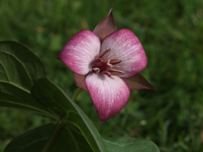 DSCF1471.JPG