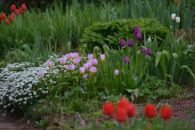 Gartenblick.jpg