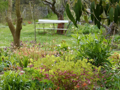 2016-04-23 Gartenimpressionen 2.jpg