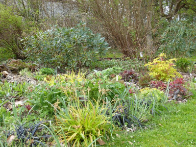 2016-04-23 Gartenimpressionen 6.jpg