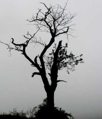 BAUM_SA_1509_I.jpg