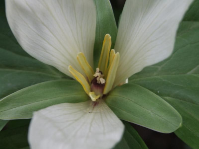 DSCF2918.JPG