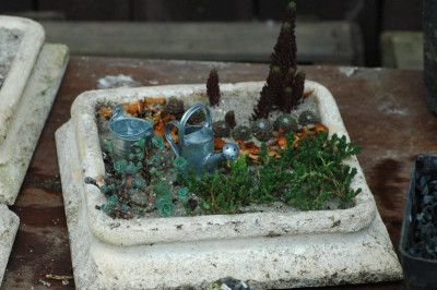 DSC_0442.JPG