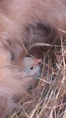 IMAG0688.jpg