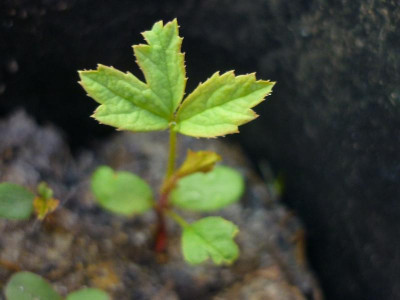 P1050555.JPG