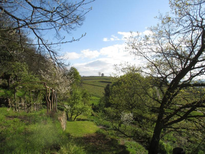 Bellevue 20160424.jpg