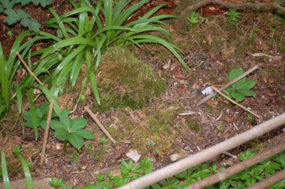 DSC_0472.JPG