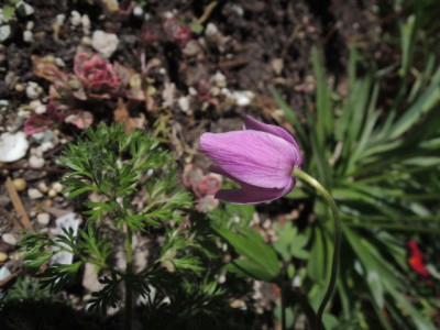 DSCN0088_1397.JPG