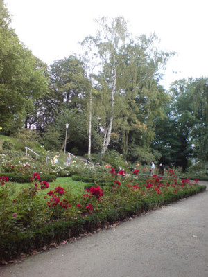 rosenpark_neuss_2.JPG