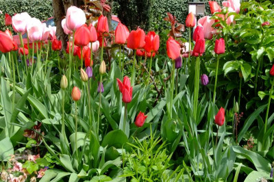 2016_04243april20160046.JPG