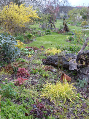 2016-04-26 Gartenimpressionen 2.jpg