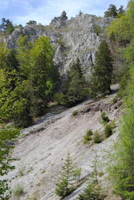 petergstamm 185.jpg