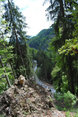 petergstamm 072.jpg