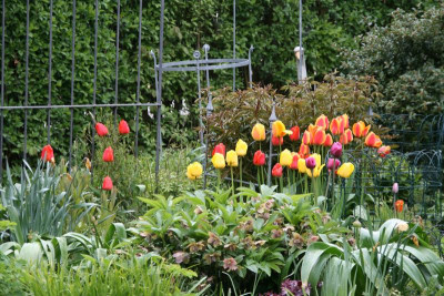 Frühling2416.JPG