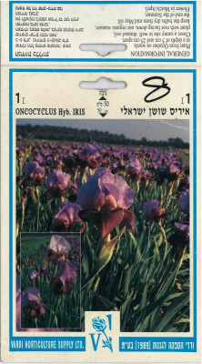 Iris_oncocyclus_Israel.jpg