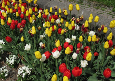 IMG_7778_Bot_Garten_Berlin_25April2016_.jpg
