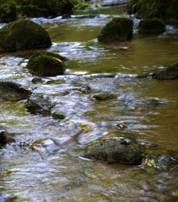 Bachlauf-6.jpg