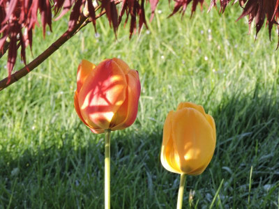 DSCN3636.JPG