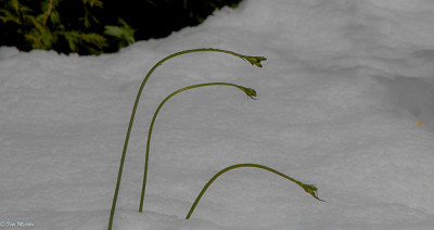 IMG_8373.jpg