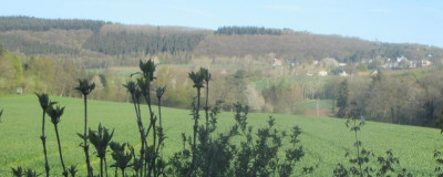 Blick aus dem Fenster 290416.jpg