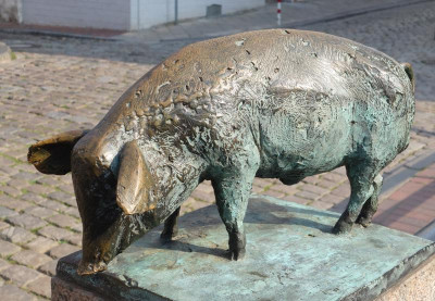 Schwein-3.jpg