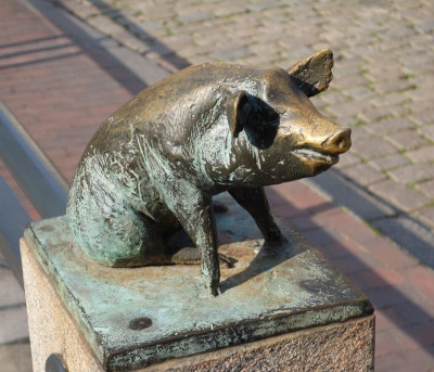 Schwein-4.jpg