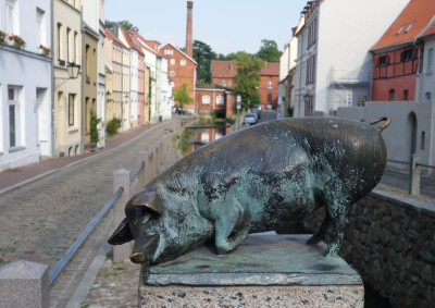 Schwein-2.jpg