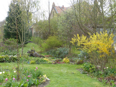 2016-04-30 Garteneinblick 1.jpg