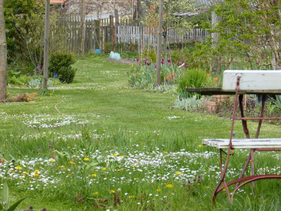 2016-04-30 Garteneinblick 2.jpg