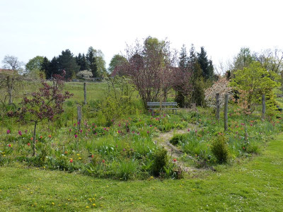 2016-04-30 Ahornbeet 1.jpg