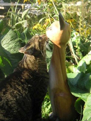 Sommerliebe_im_Garten.jpg