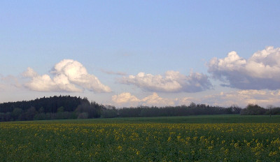 28.4. h.jpg