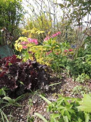 DSCN0100_1402.JPG