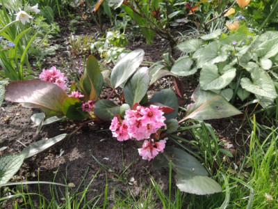 DSCN0112_1407.JPG